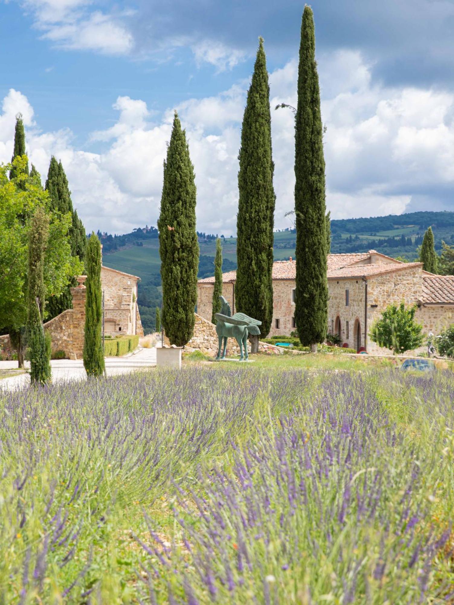 Podere 1384 Castellina in Chianti Exteriér fotografie